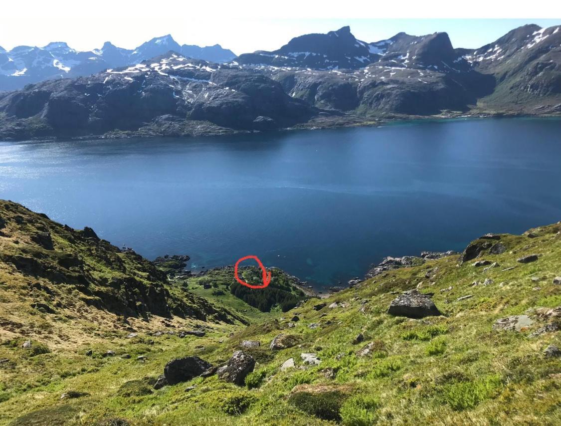 Vettinghytta, Close To The Sea With Amazing View. Gravdal  Extérieur photo