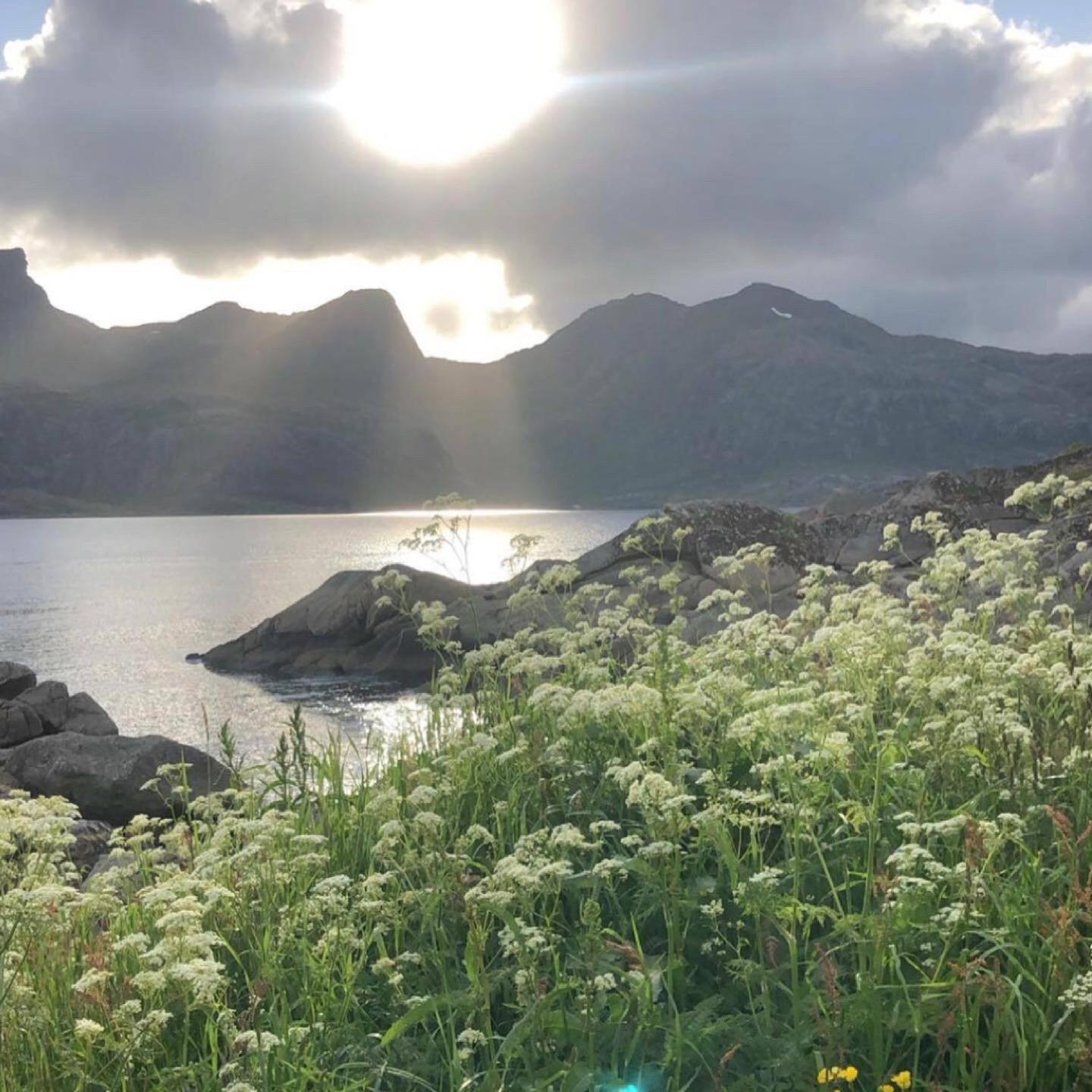 Vettinghytta, Close To The Sea With Amazing View. Gravdal  Extérieur photo
